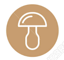 Captura de pantalla 2025-11-16 a las 15.47.32